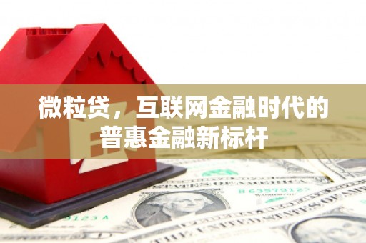 石家庄微粒贷，互联网金融时代的普惠金融新标杆