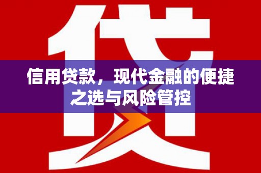 石家庄信用贷款，现代金融的便捷之选与风险管控