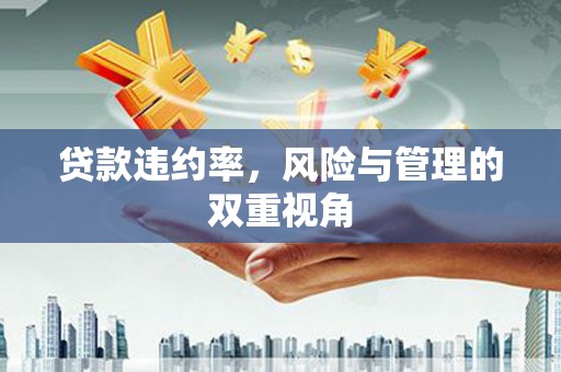 石家庄贷款违约率，风险与管理的双重视角