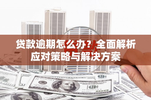 石家庄贷款逾期怎么办？全面解析应对策略与解决方案