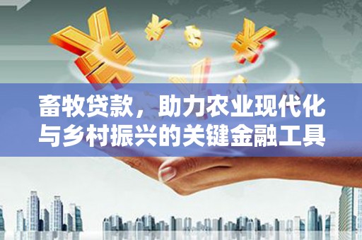 石家庄畜牧贷款，助力农业现代化与乡村振兴的关键金融工具