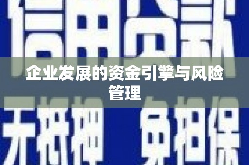 石家庄企业发展的资金引擎与风险管理