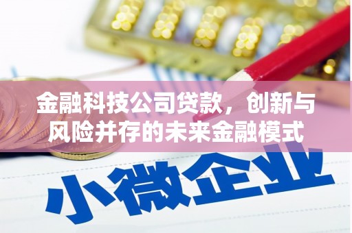 石家庄金融科技公司贷款，创新与风险并存的未来金融模式