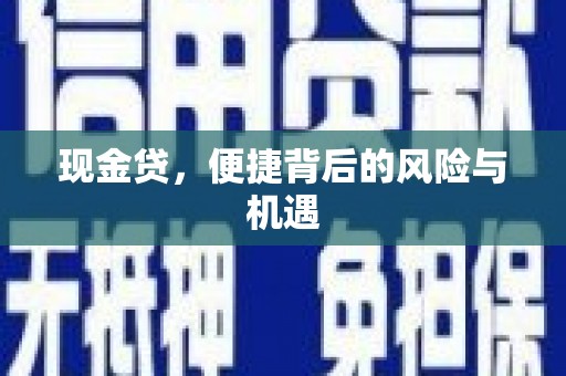 石家庄现金贷，便捷背后的风险与机遇