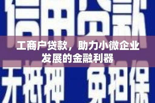 石家庄工商户贷款，助力小微企业发展的金融利器