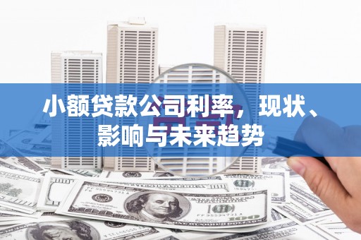 石家庄小额贷款公司利率，现状、影响与未来趋势