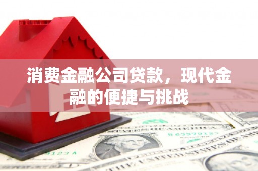 石家庄消费金融公司贷款，现代金融的便捷与挑战
