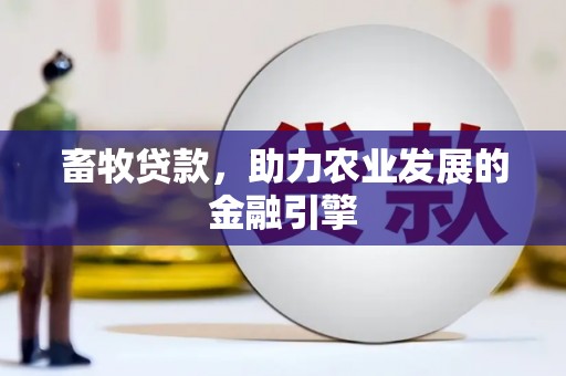 石家庄畜牧贷款，助力农业发展的金融引擎