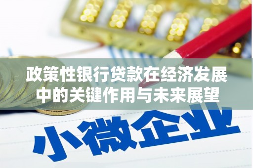 石家庄政策性银行贷款在经济发展中的关键作用与未来展望
