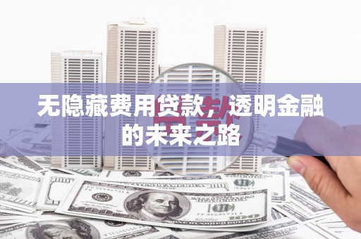 石家庄无隐藏费用贷款，透明金融的未来之路