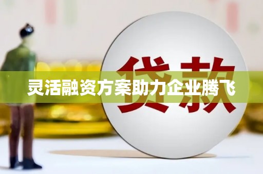 石家庄灵活融资方案助力企业腾飞