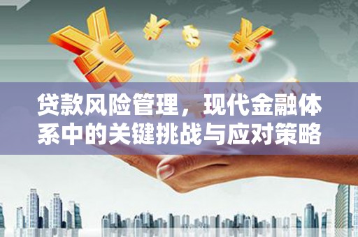 石家庄贷款风险管理，现代金融体系中的关键挑战与应对策略