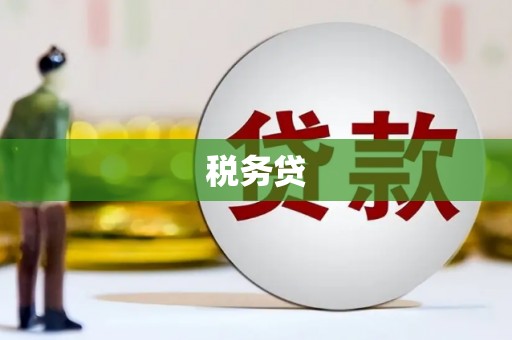 石家庄税务贷