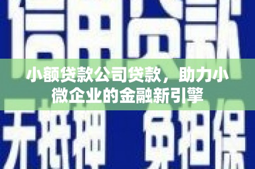 石家庄小额贷款公司贷款，助力小微企业的金融新引擎