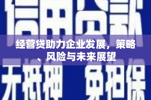 石家庄经营贷助力企业发展，策略、风险与未来展望