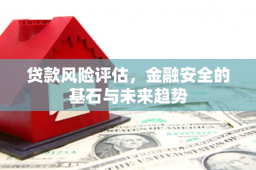 石家庄贷款风险评估，金融安全的基石与未来趋势