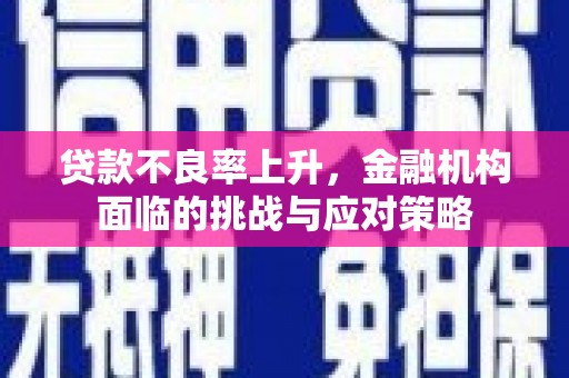 石家庄贷款不良率上升，金融机构面临的挑战与应对策略