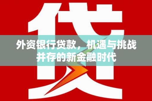 石家庄外资银行贷款，机遇与挑战并存的新金融时代