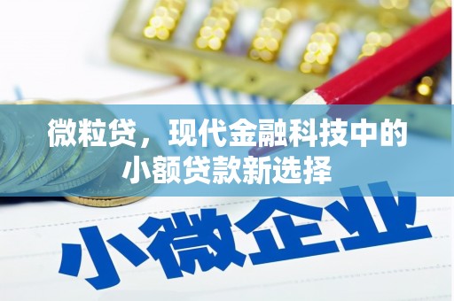 石家庄微粒贷，现代金融科技中的小额贷款新选择