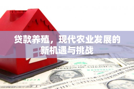石家庄贷款养殖，现代农业发展的新机遇与挑战