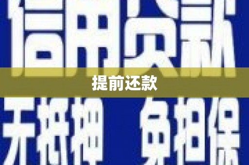 石家庄提前还款