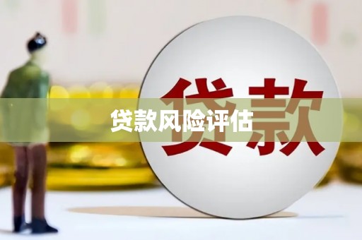 石家庄贷款风险评估