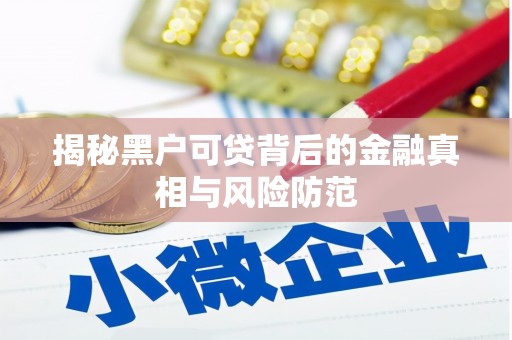 石家庄揭秘黑户可贷背后的金融真相与风险防范