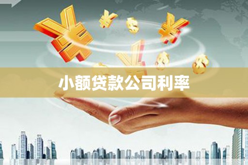 石家庄小额贷款公司利率