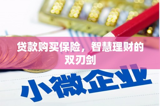石家庄贷款购买保险，智慧理财的双刃剑