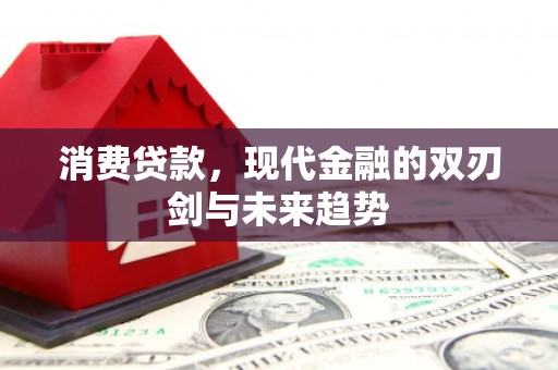 石家庄消费贷款，现代金融的双刃剑与未来趋势