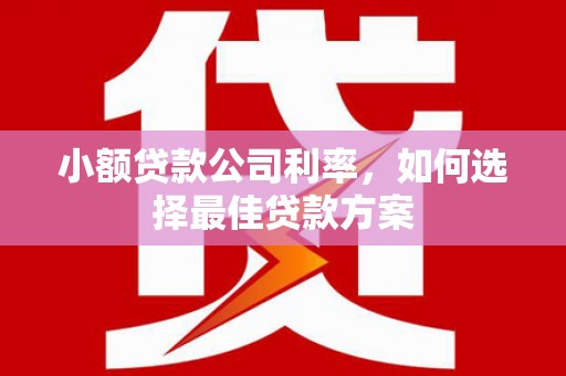 石家庄小额贷款公司利率，如何选择最佳贷款方案