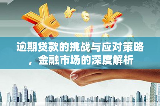 石家庄逾期贷款的挑战与应对策略，金融市场的深度解析
