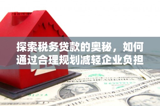石家庄探索税务贷款的奥秘，如何通过合理规划减轻企业负担