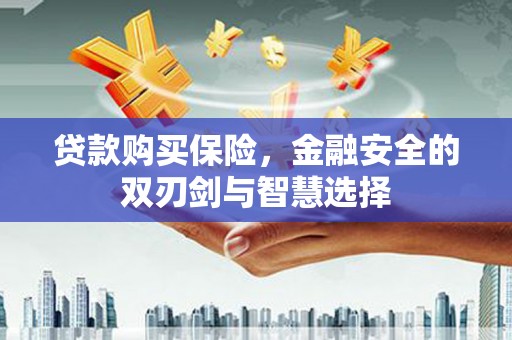 石家庄贷款购买保险，金融安全的双刃剑与智慧选择