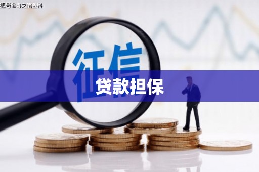 石家庄贷款担保