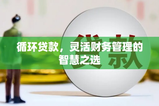 石家庄循环贷款，灵活财务管理的智慧之选