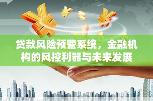 石家庄贷款风险预警系统，金融机构的风控利器与未来发展