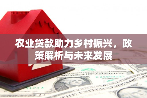 石家庄农业贷款助力乡村振兴，政策解析与未来发展