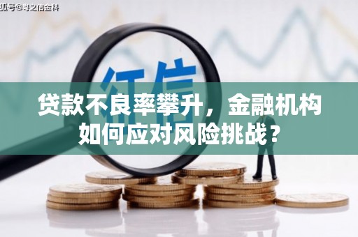 石家庄贷款不良率攀升，金融机构如何应对风险挑战？
