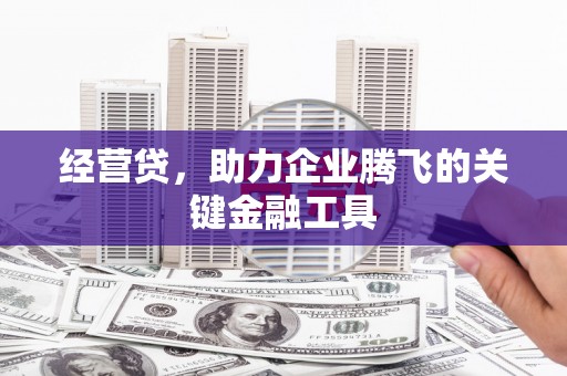 石家庄经营贷，助力企业腾飞的关键金融工具