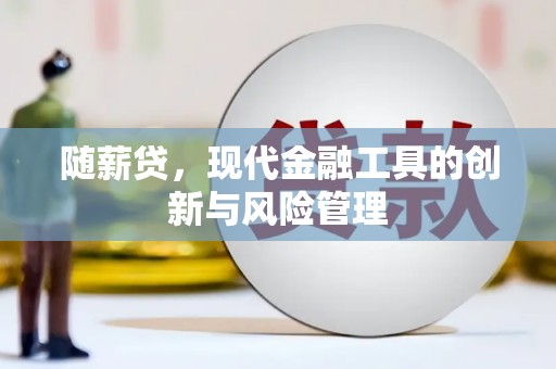 石家庄随薪贷，现代金融工具的创新与风险管理