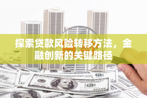 石家庄探索贷款风险转移方法，金融创新的关键路径