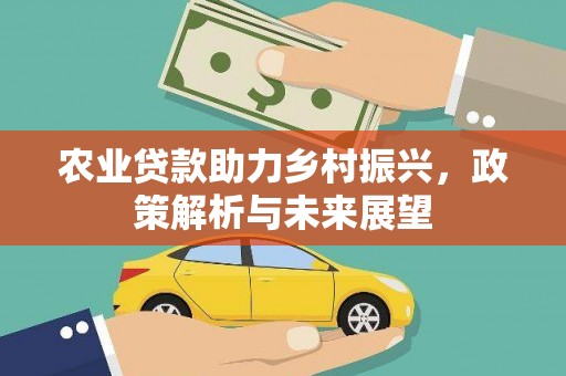 石家庄农业贷款助力乡村振兴，政策解析与未来展望