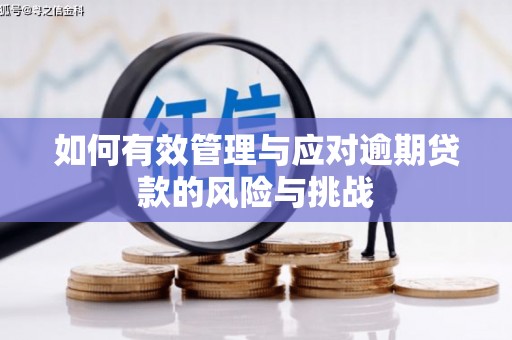 石家庄如何有效管理与应对逾期贷款的风险与挑战