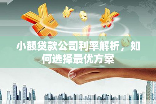 石家庄小额贷款公司利率解析，如何选择最优方案