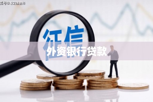 石家庄外资银行贷款