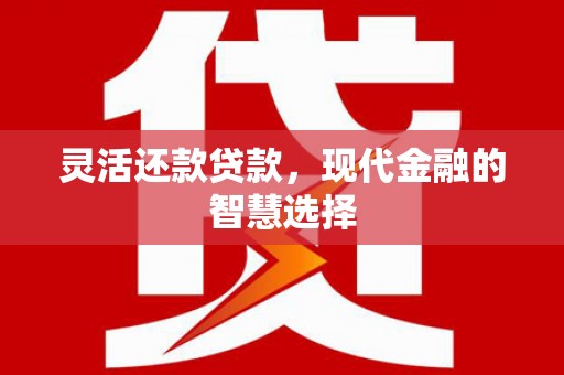 石家庄灵活还款贷款，现代金融的智慧选择