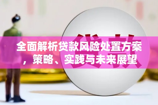 石家庄全面解析贷款风险处置方案，策略、实践与未来展望