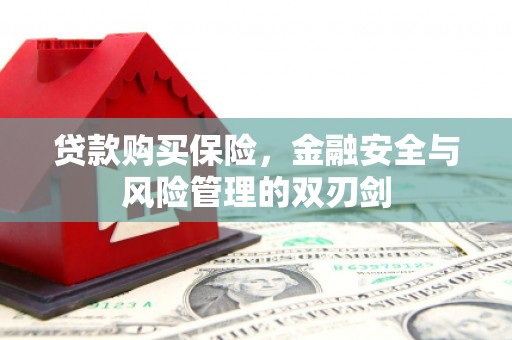石家庄贷款购买保险，金融安全与风险管理的双刃剑