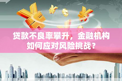 石家庄贷款不良率攀升，金融机构如何应对风险挑战？